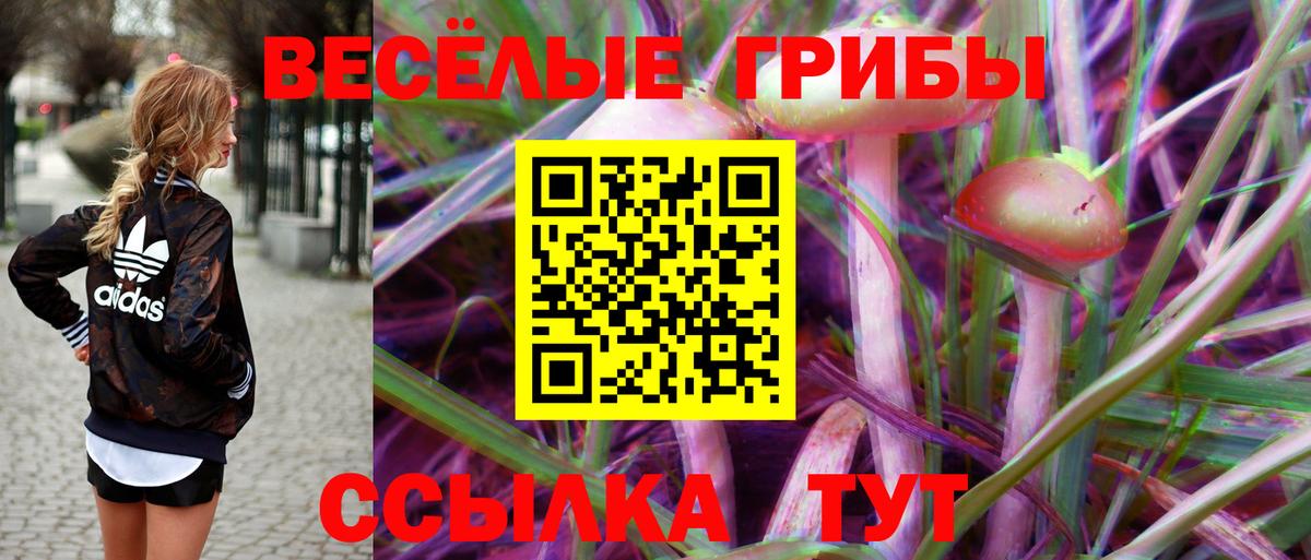Псилоцибиновые грибы Magic Shrooms  Вход с VPN  Мегион 
